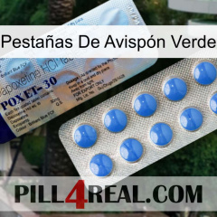 Pestañas De Avispón Verde 39